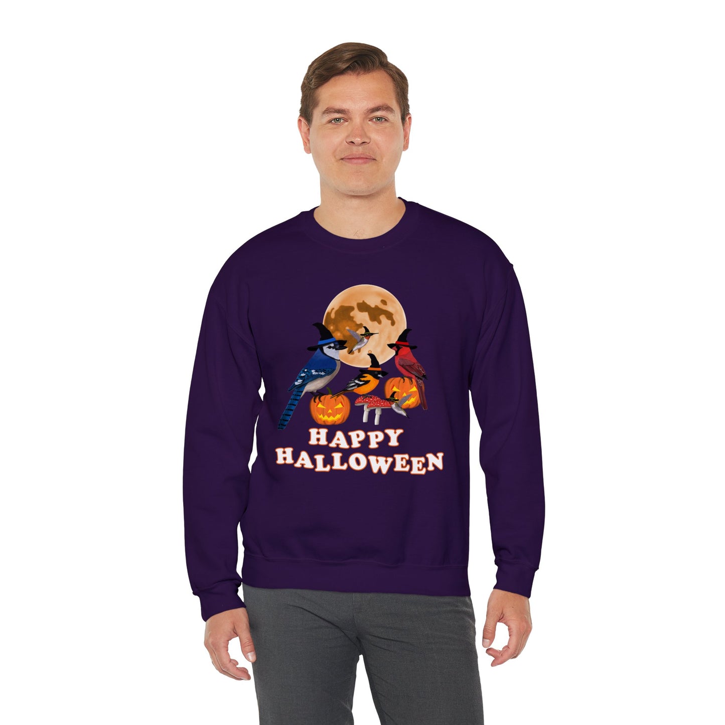 Blue Jay Cardinal Oriole Hummingbird Halloween Birds Witch Birdwatcher Sweatshirt