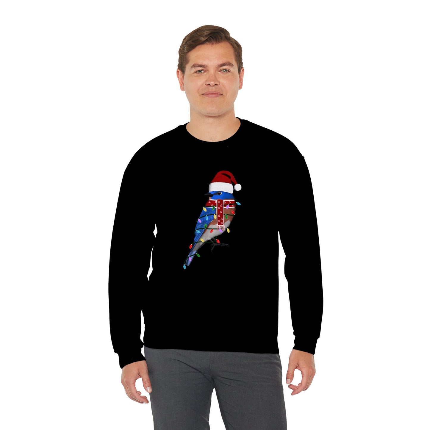 Bluebird with Fairy Lights Santa Claus Christmas Bird Sweatshirt