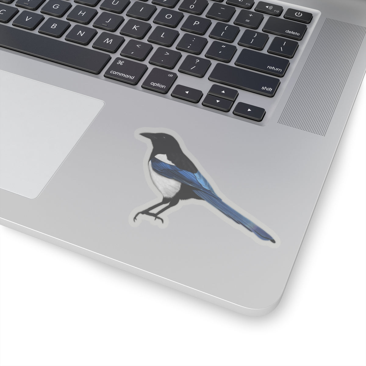 Magpie Bird Kiss-Cut Sticker - jz.birds