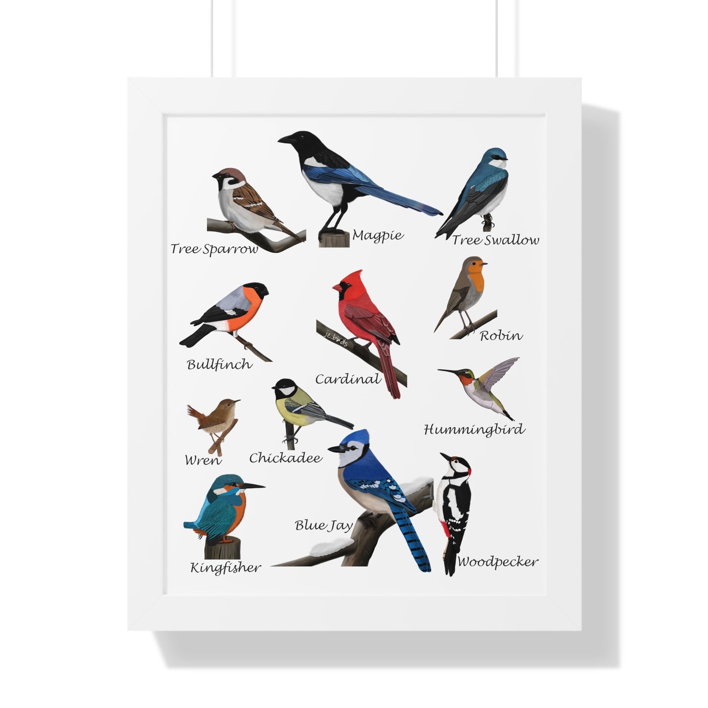 Garden Birds Blue Jay Cardinal Bullfinch Chickadee Framed Poster