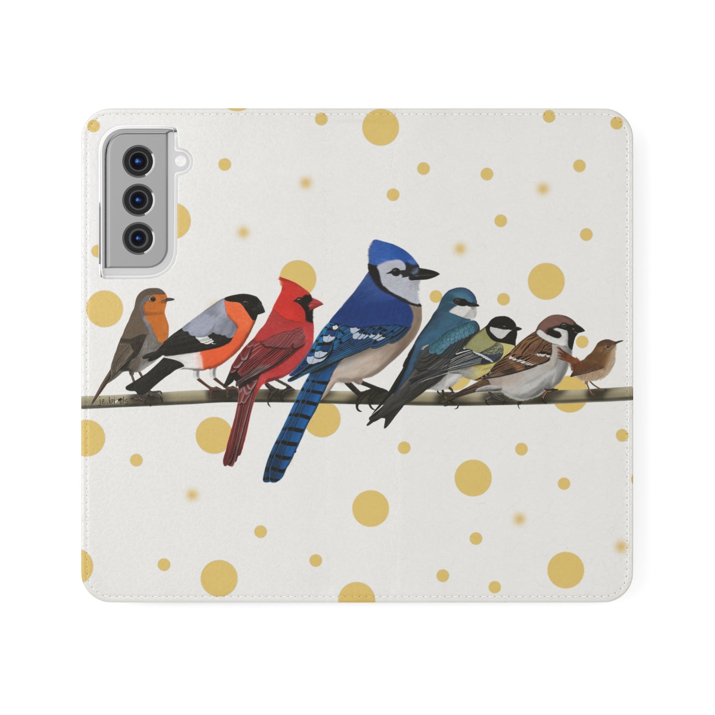 Garden Birds Blue Jay Cardinal Bullfinch Wren Bird Art Phone Flip Case