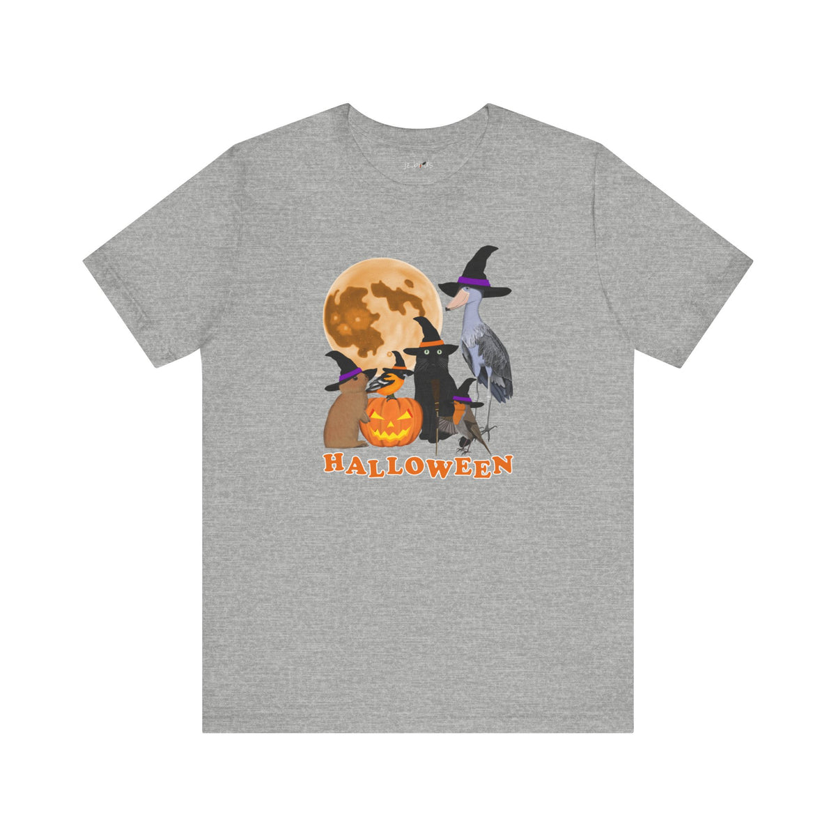 Baltimore Oriole, Shoebill and Robin T-Shirt in Asphalt