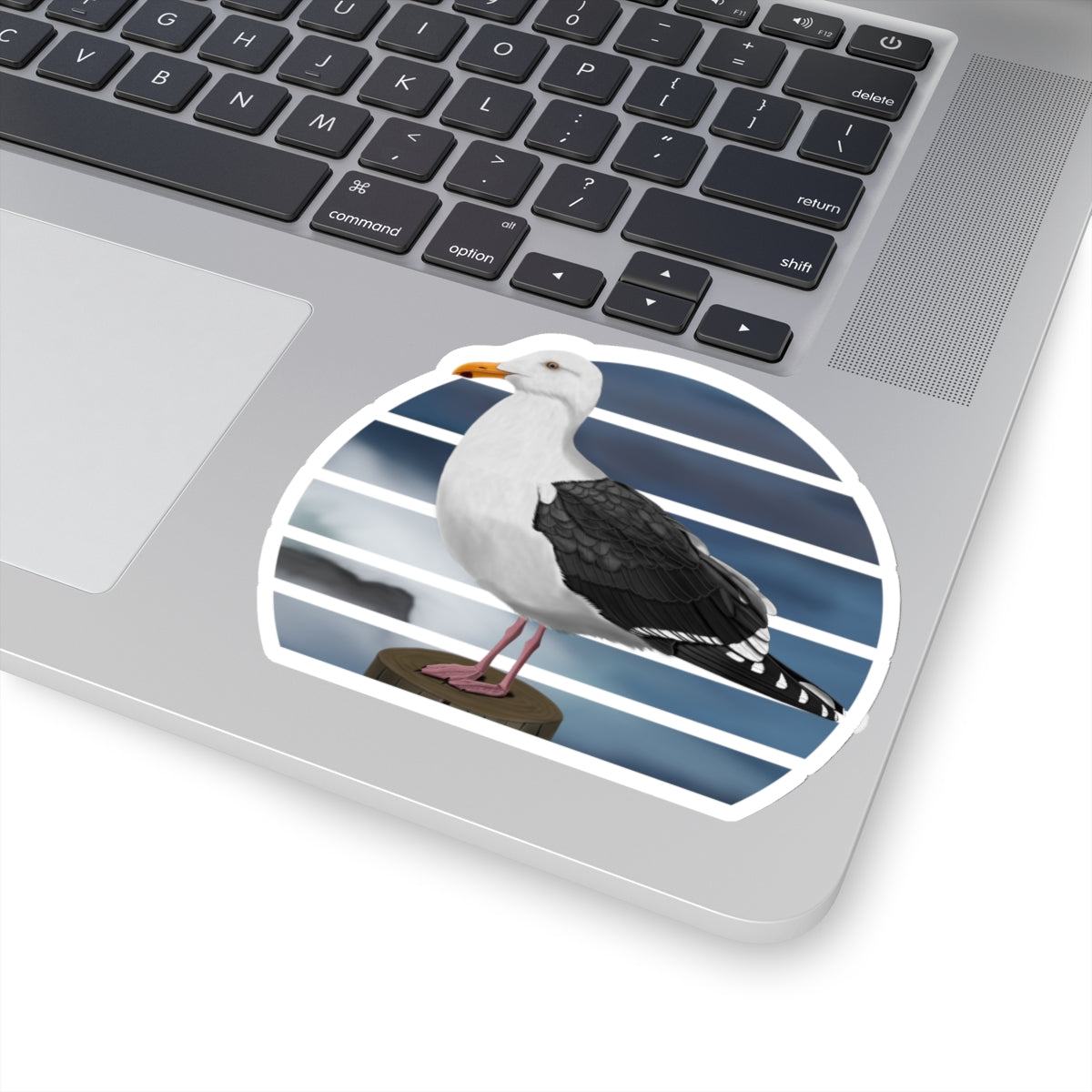 Seagull Bird Sticker