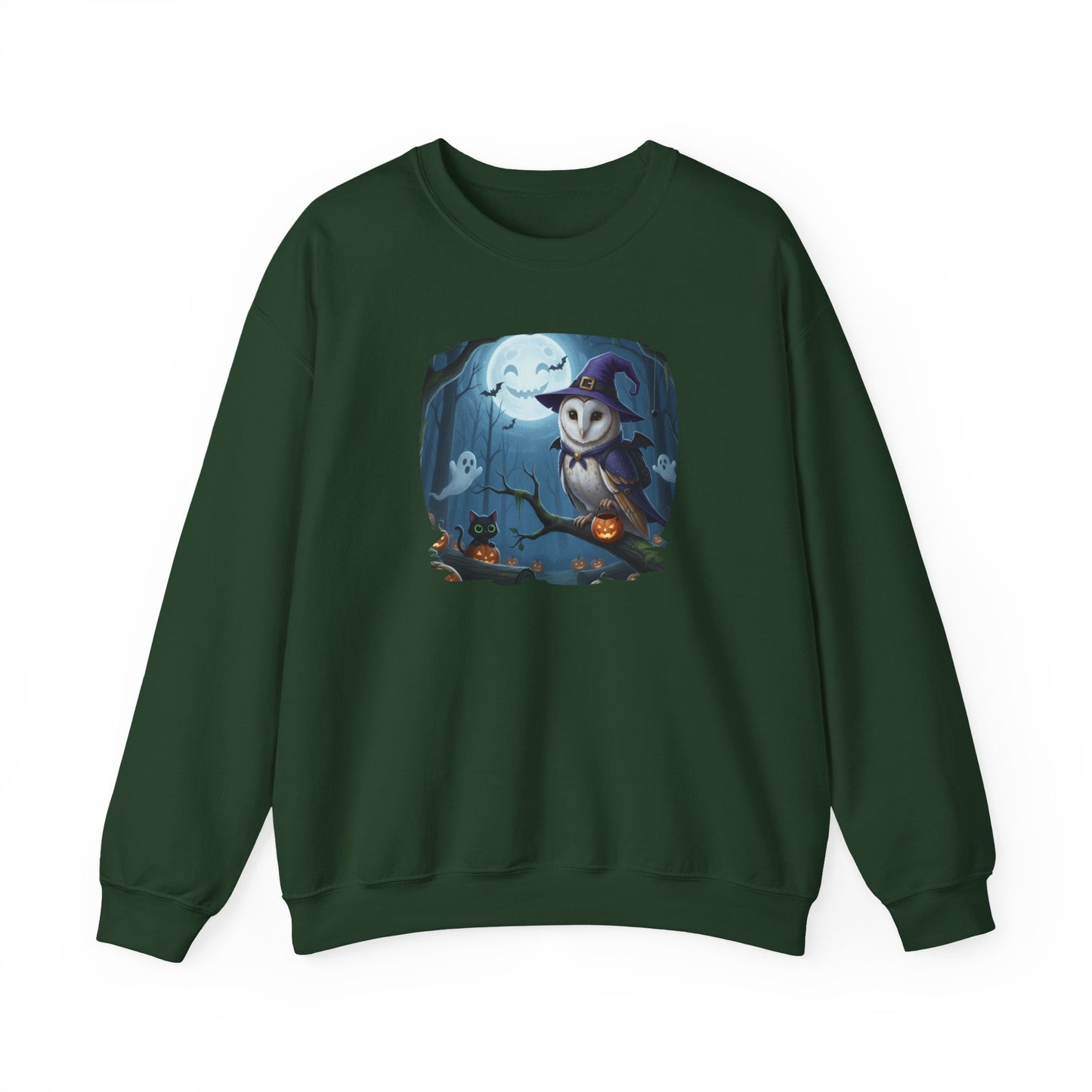 Barn Owl Halloween Bird Sweatshirt - Spooky Halloween Costume for Bird Lovers