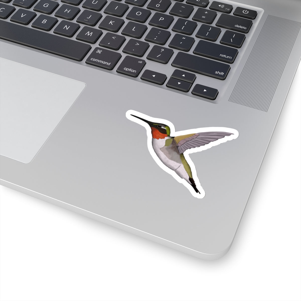 Hummingbird Bird Kiss-Cut Sticker - jz.birds