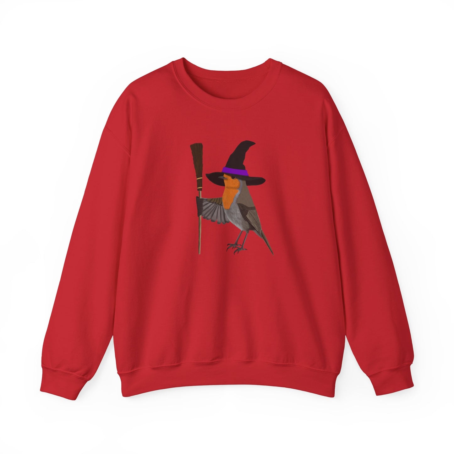 Robin Halloween Witch Birdwatcher Biologist Bird Sweatshirt
