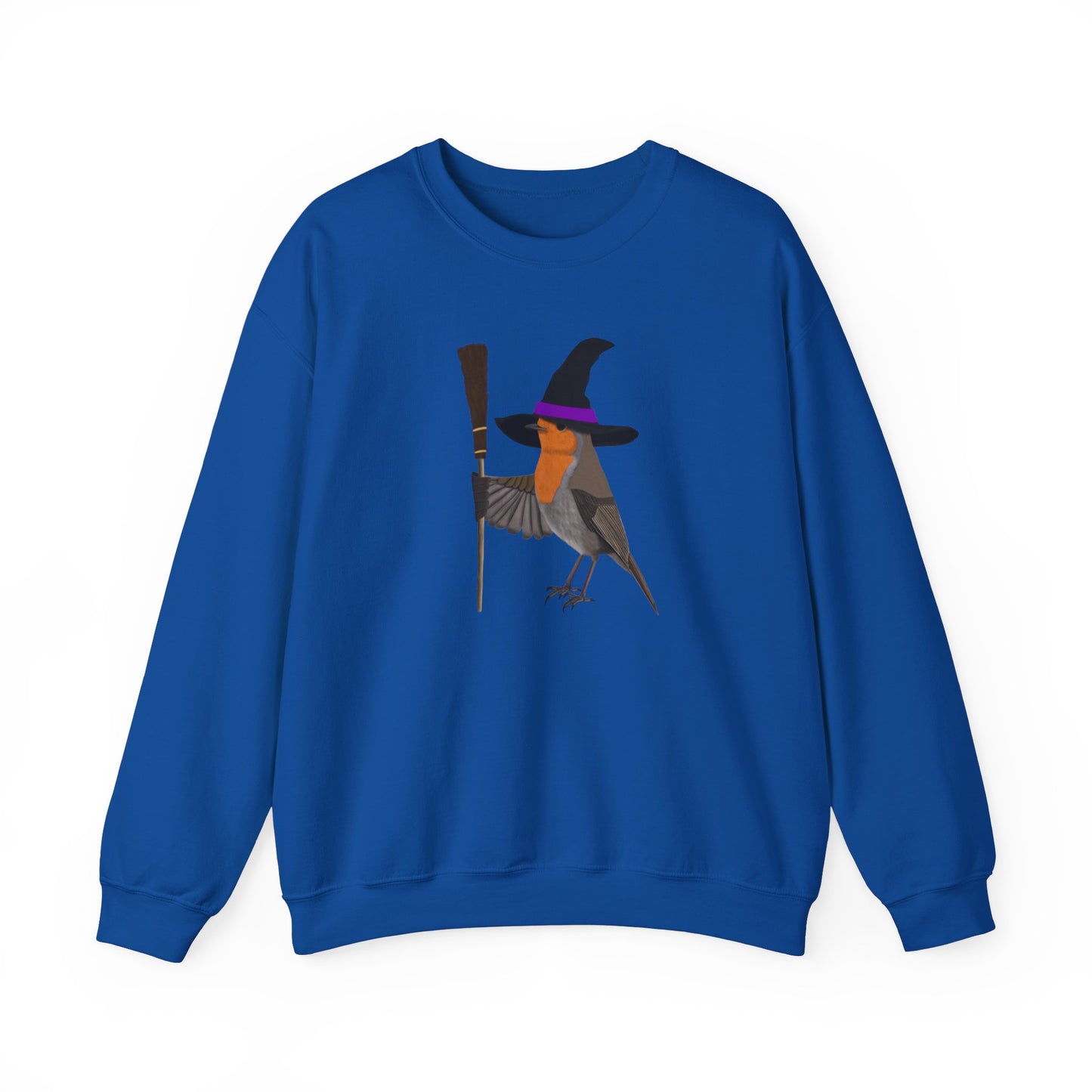 Robin Halloween Witch Birdwatcher Biologist Bird Sweatshirt