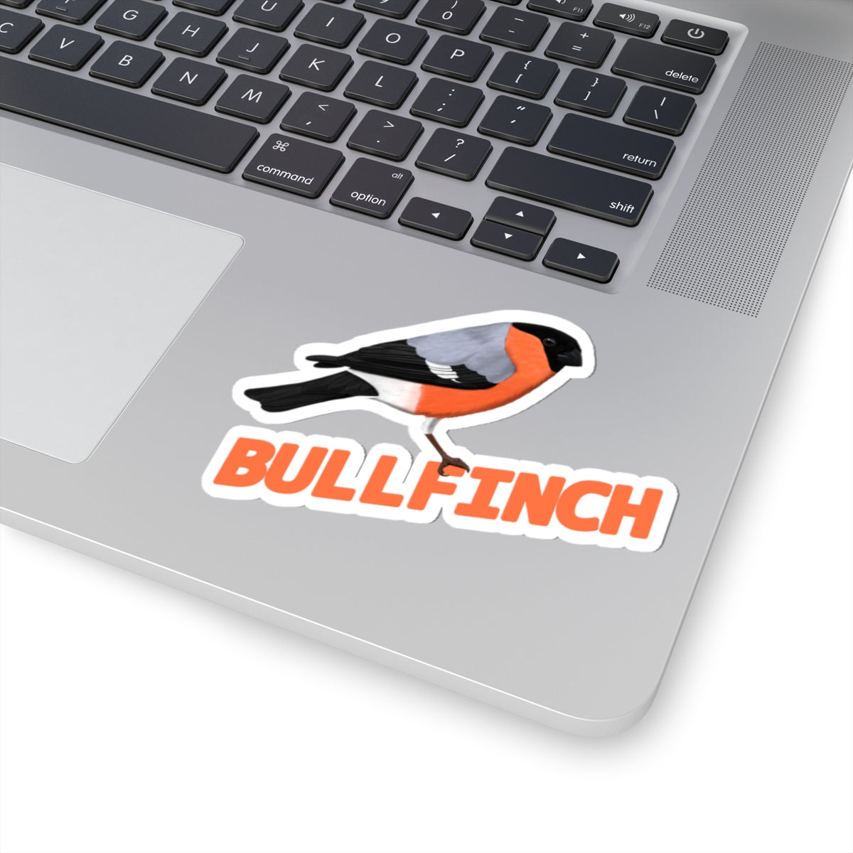 Bullfinch Sticker Bird Lover & Bird Watcher