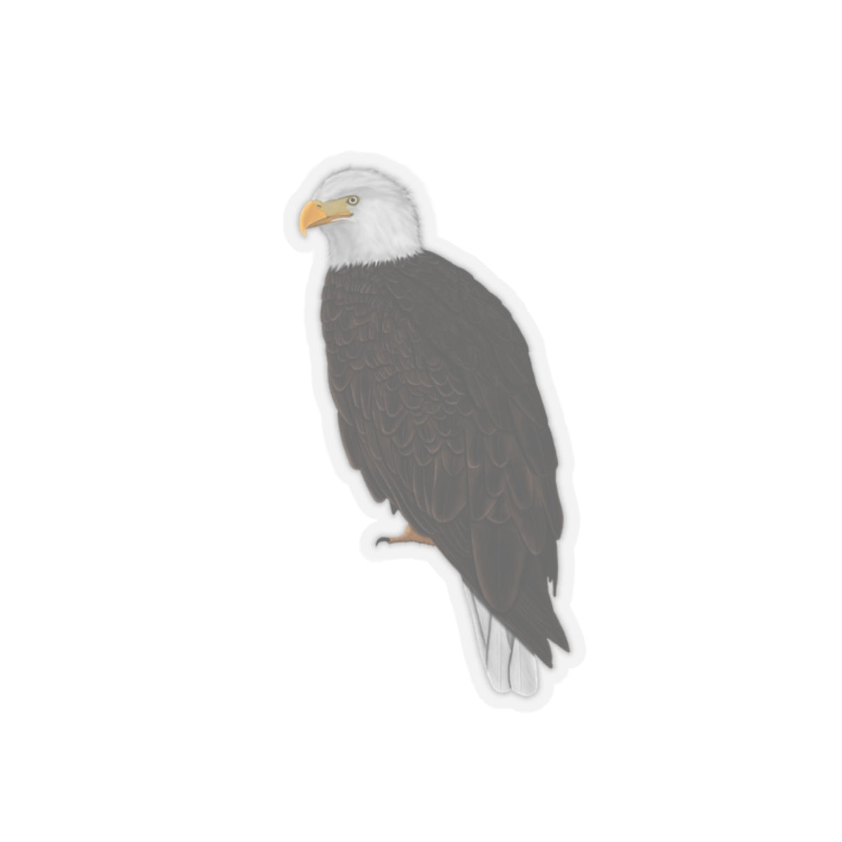 Bald Eagle Bird Kiss-Cut Sticker - jz.birds