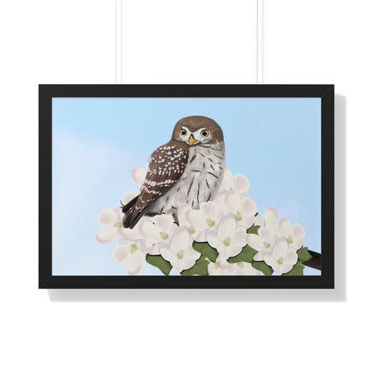 owl bird art framed poster