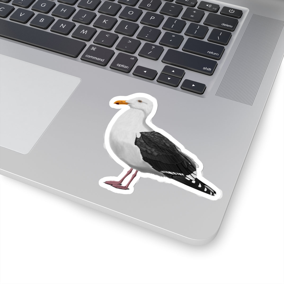 Seagull Bird Kiss-Cut Sticker - jz.birds