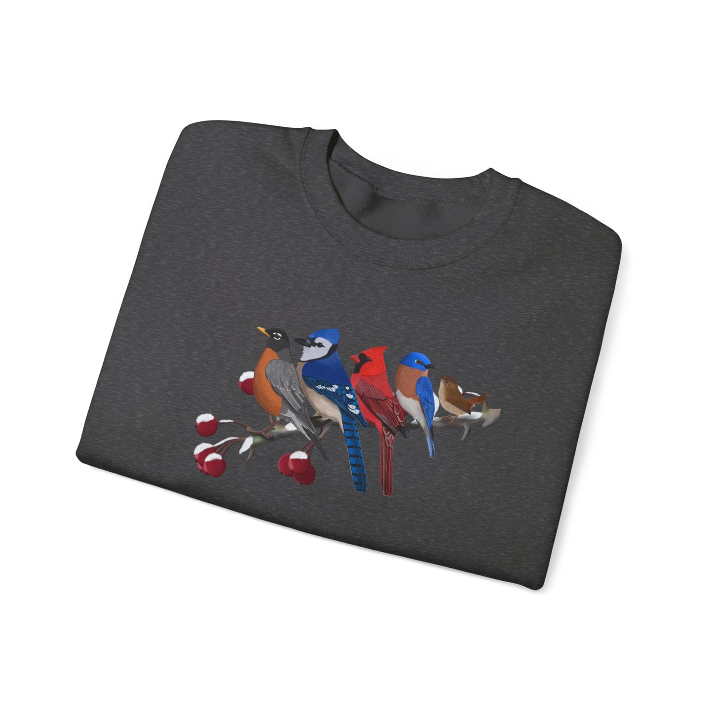 Backyard Birds Robin Blue Jay Cardinal Bluebird Wren Birdwatcher Christmas Bird Sweatshirt