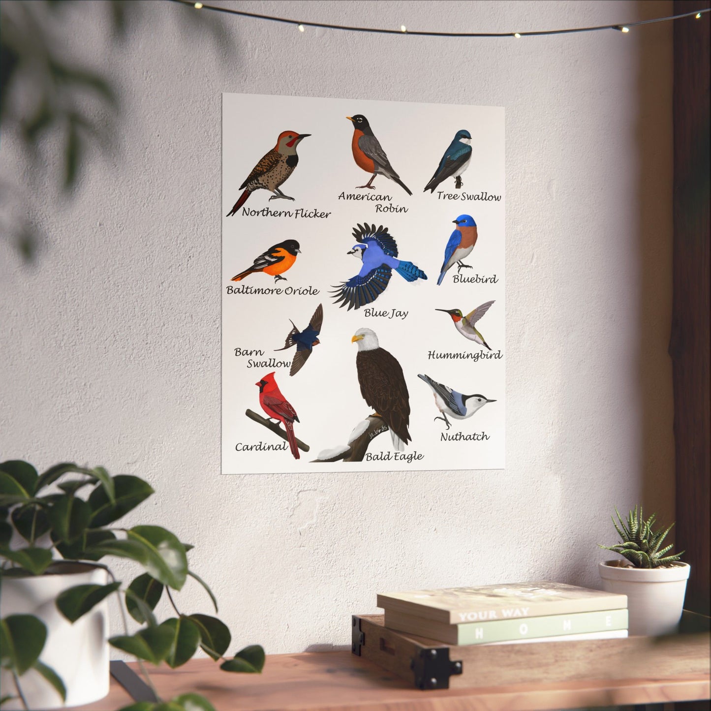 American Birds Poster Robin Blue Jay Cardinal Hummingbird Bird Watcher & Bird Lover