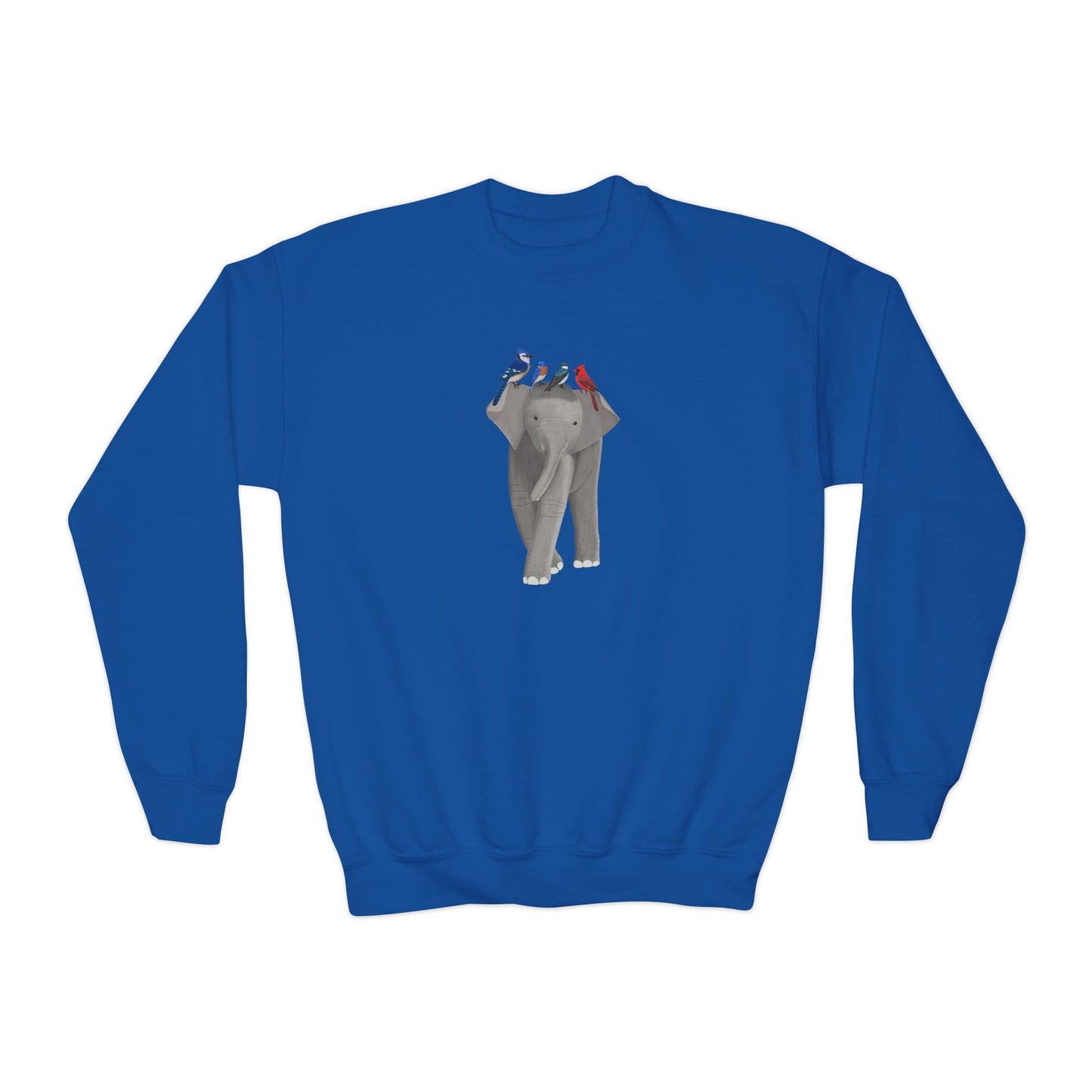 Tree Swallow, Bluebird, Blue Jay and Cardinal Youth Sweatshirts – Casual Kids Clothing, Cool Weather Outfit