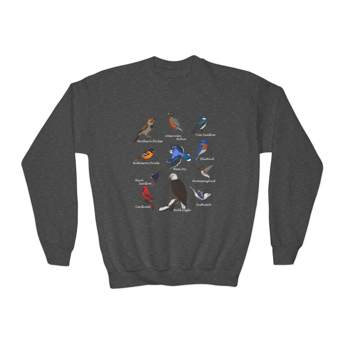 Hummingbird, Bluebird, Blue Jay, Cardinal, Robin and Eagle Youth Sweatshirts on Casual Kids Clothing background