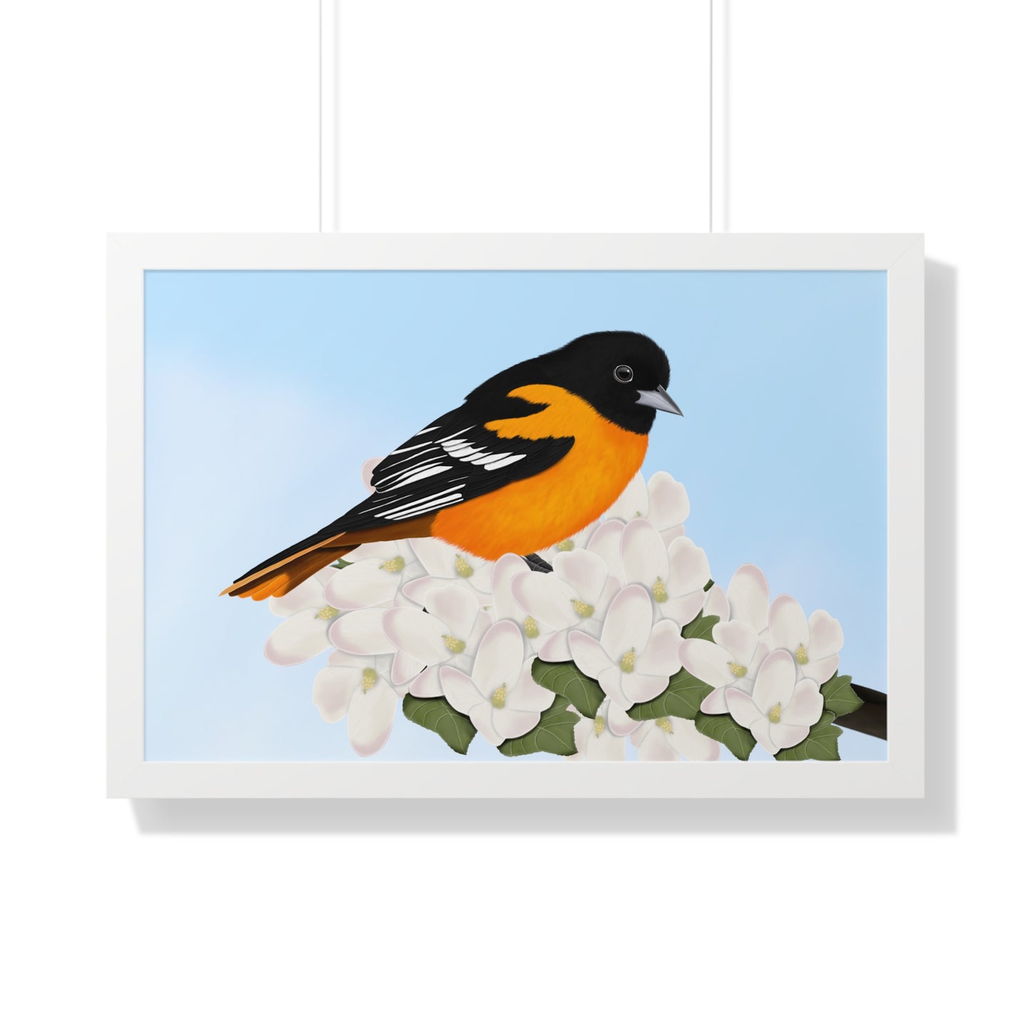 Baltimore Oriole Spring Blossoms Bird Framed Poster