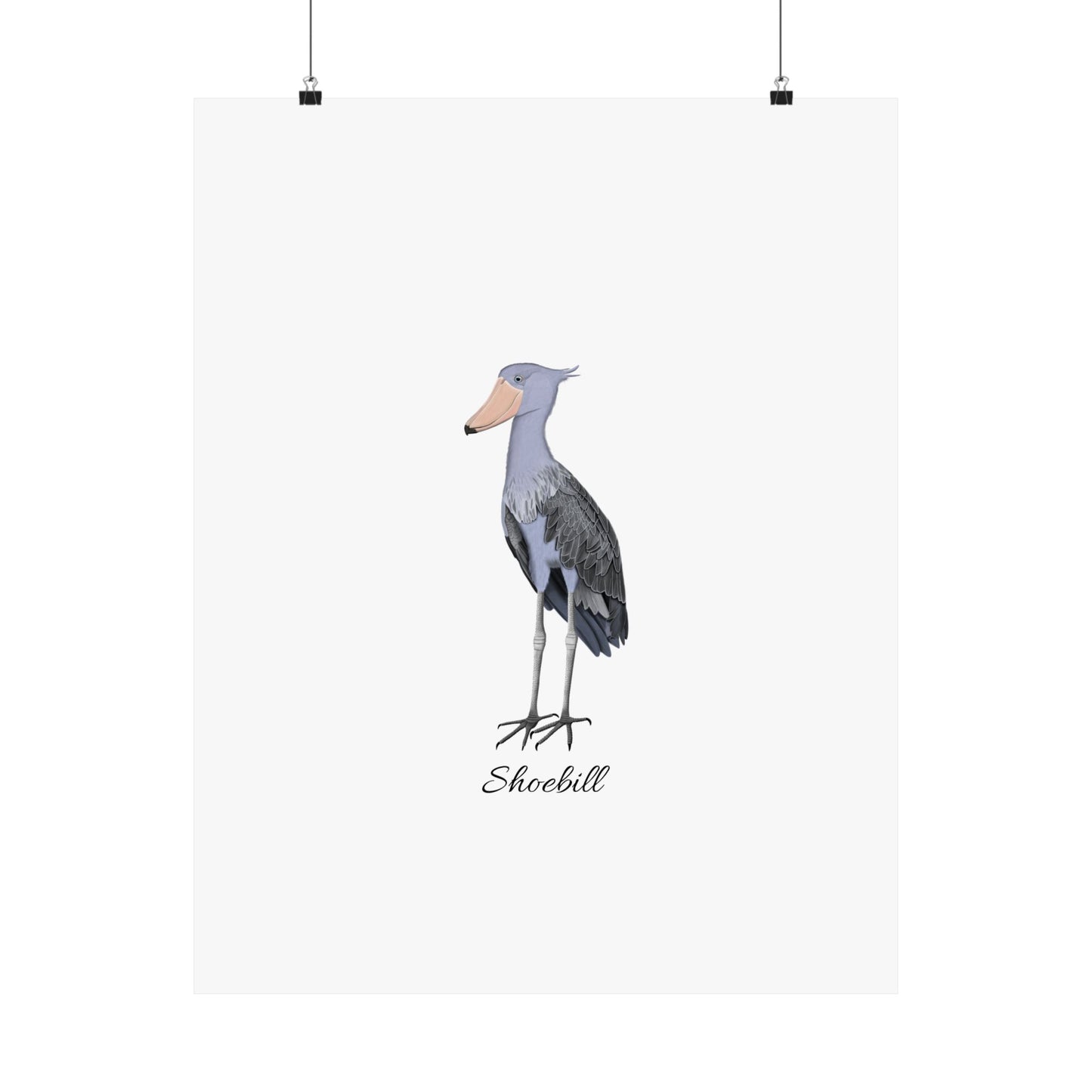 Shoebill Bird Birding Matte Poster