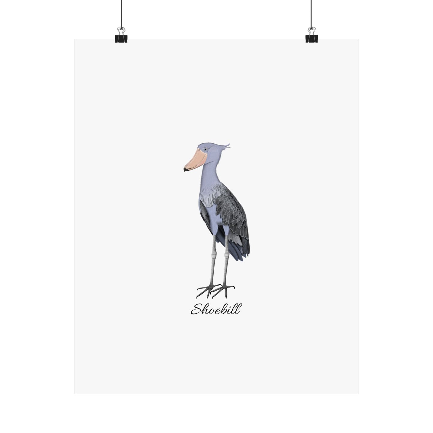 Shoebill Bird Birding Matte Poster