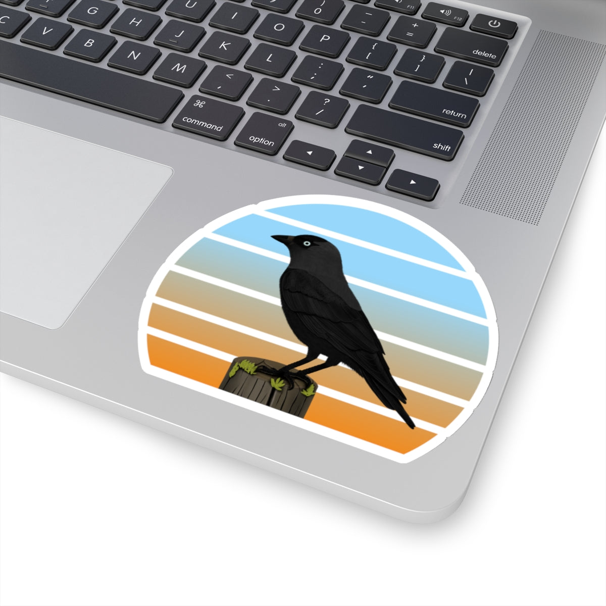 Jackdaw Bird Sticker