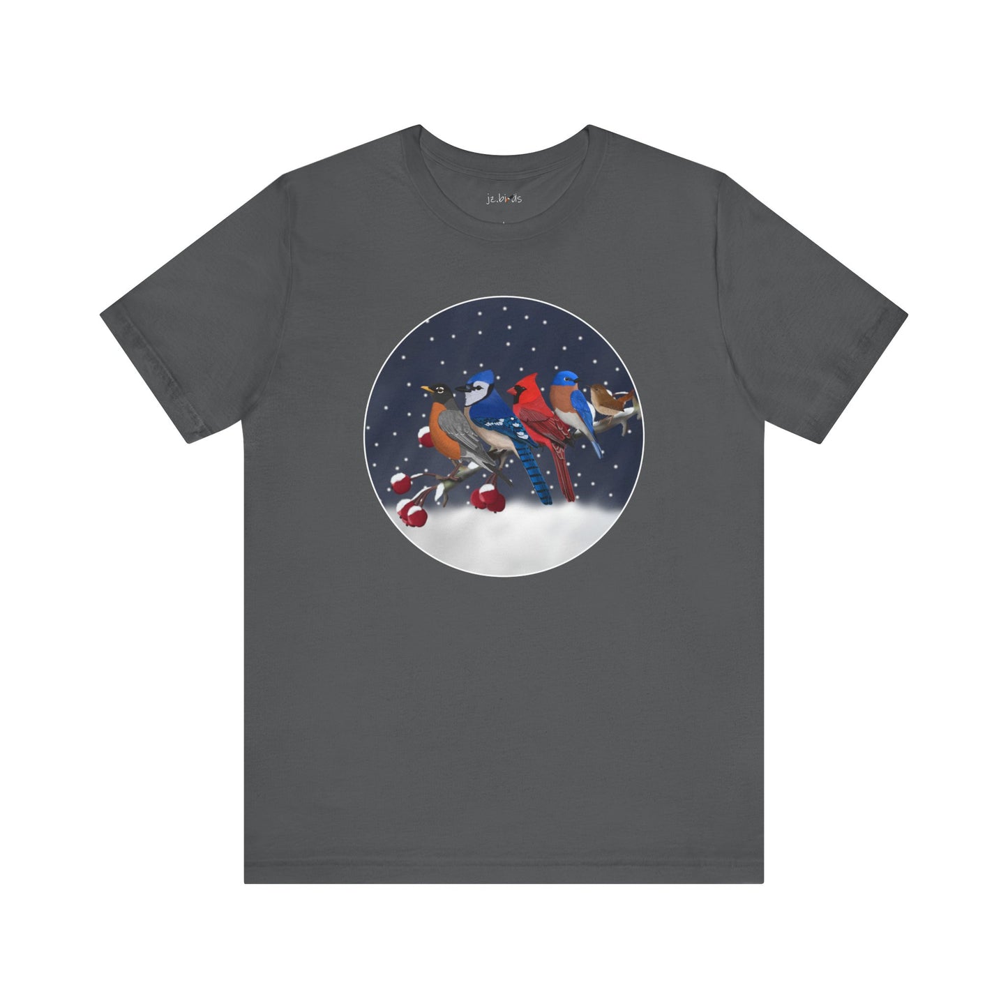 Bluebird, Blue Jay, Cardinal, Robin and Wren T-Shirt – bird christmas