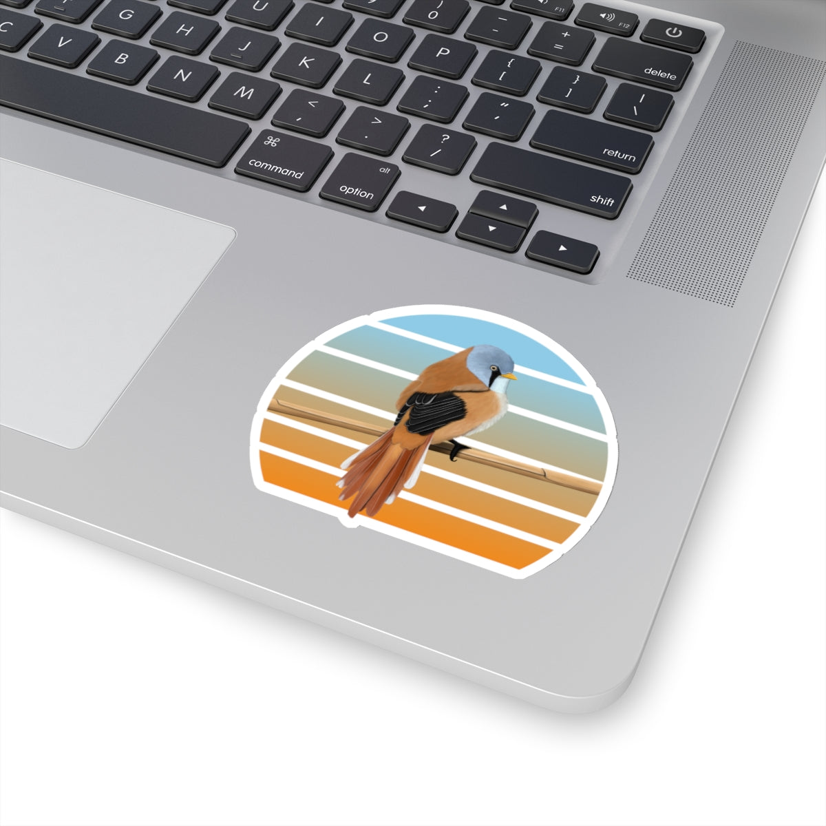 Bearded Reedling Bird Sticker