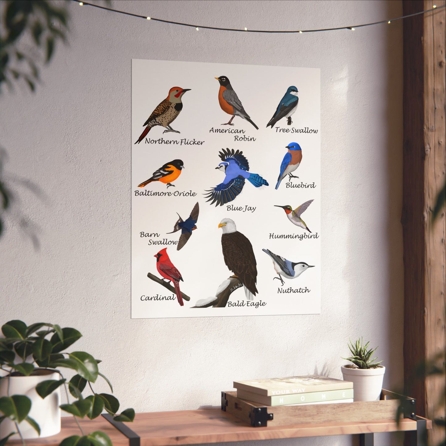 American Birds Poster Robin Blue Jay Cardinal Hummingbird Bird Watcher & Bird Lover