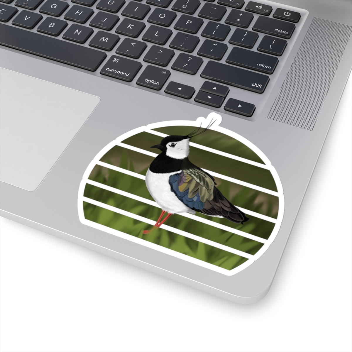 Lapwing Bird Sticker
