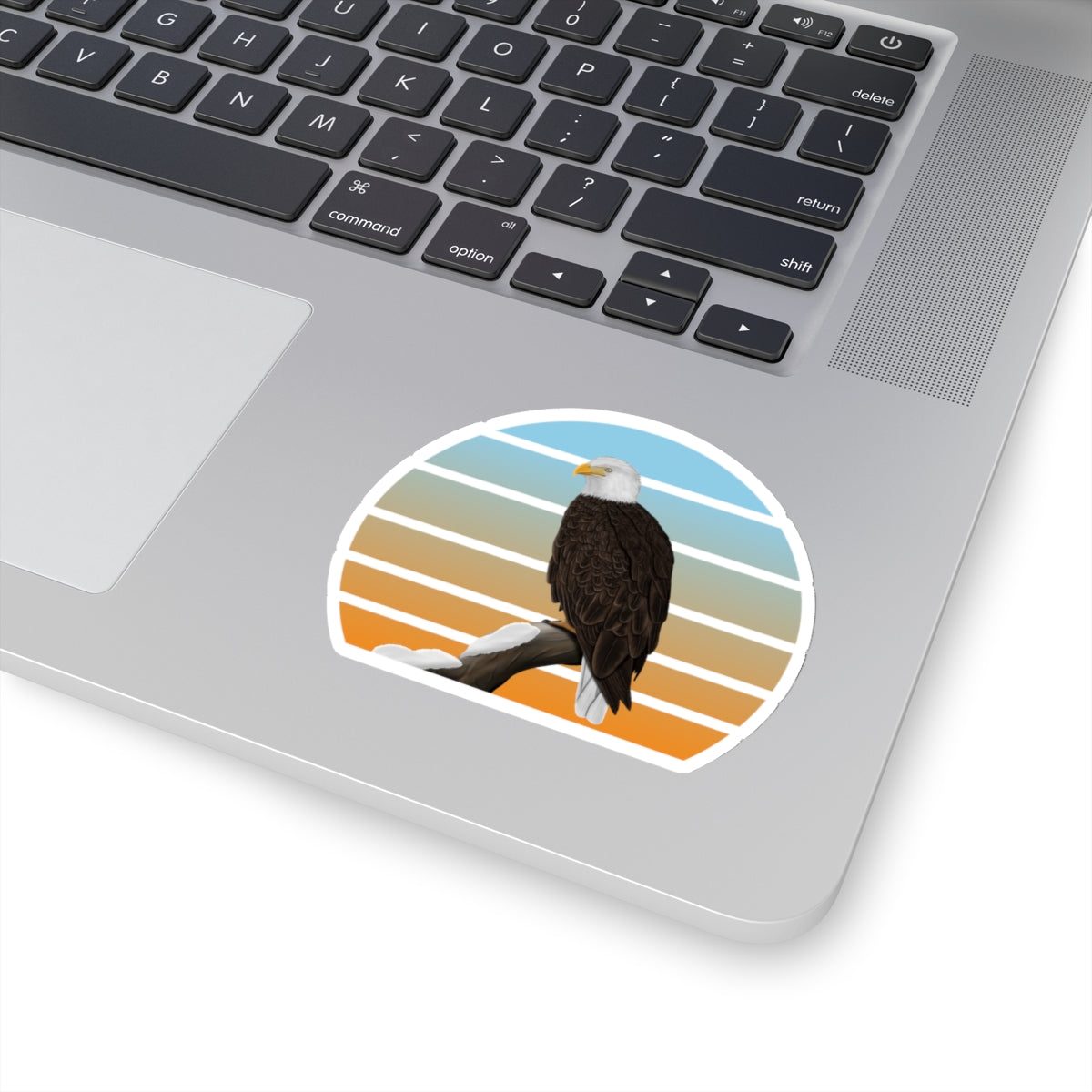 Bald Eagle Bird Sticker