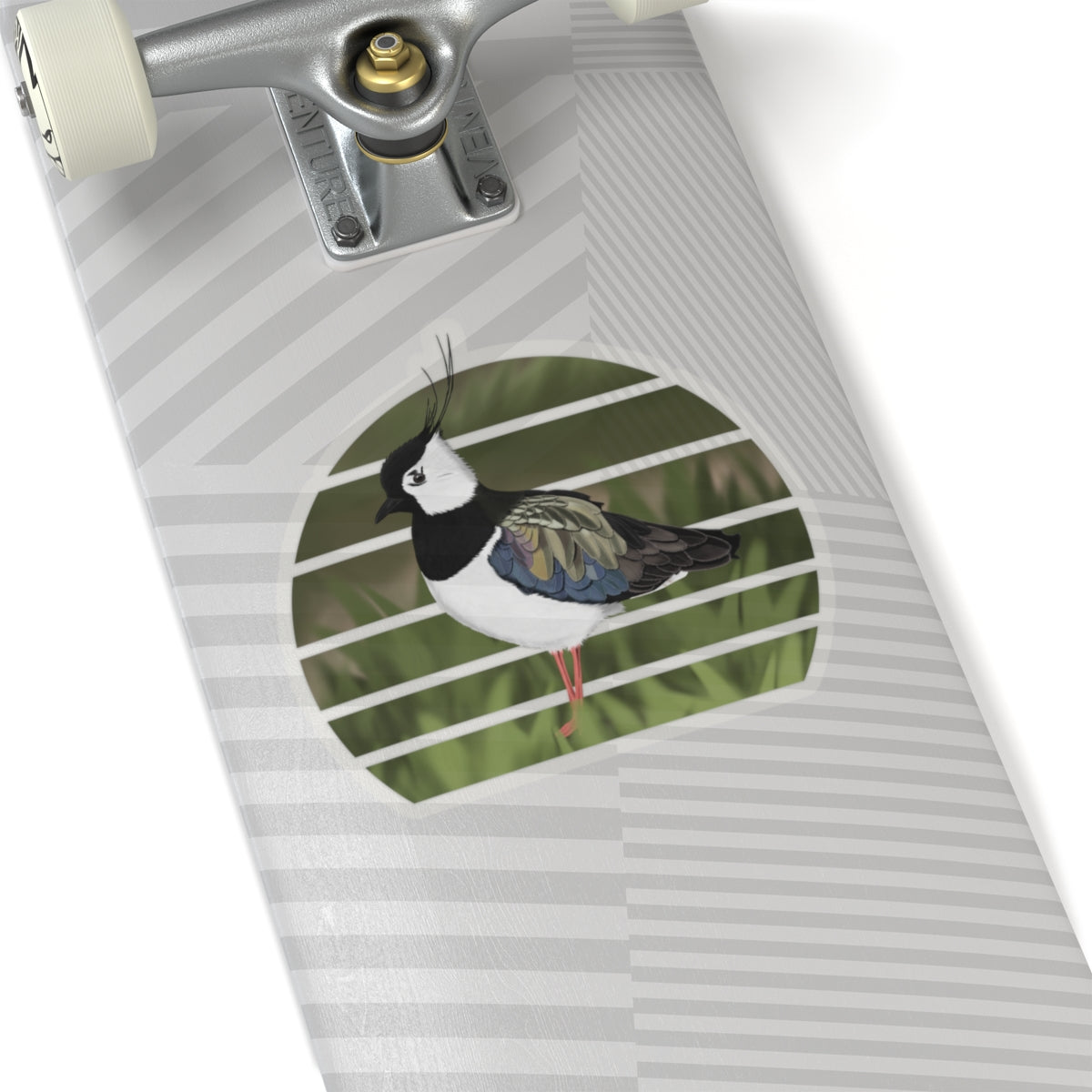Lapwing Bird Sticker