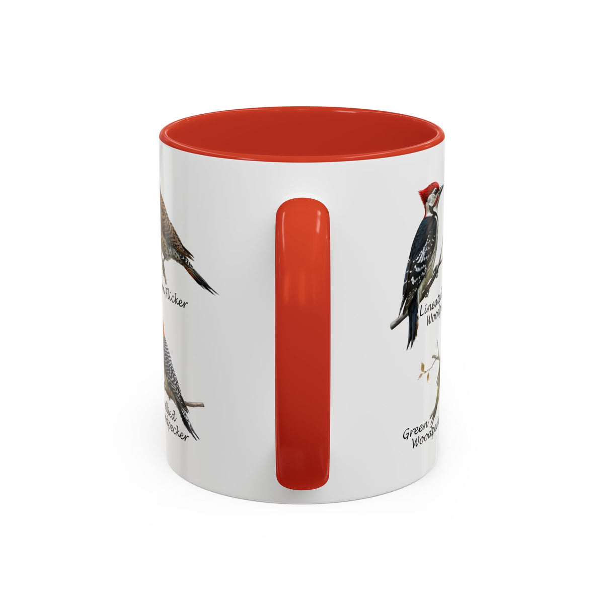 Woodpecker Field Guide Coffee Mug | Two-Tone Bird Watcher Accent Cup – 11 oz,