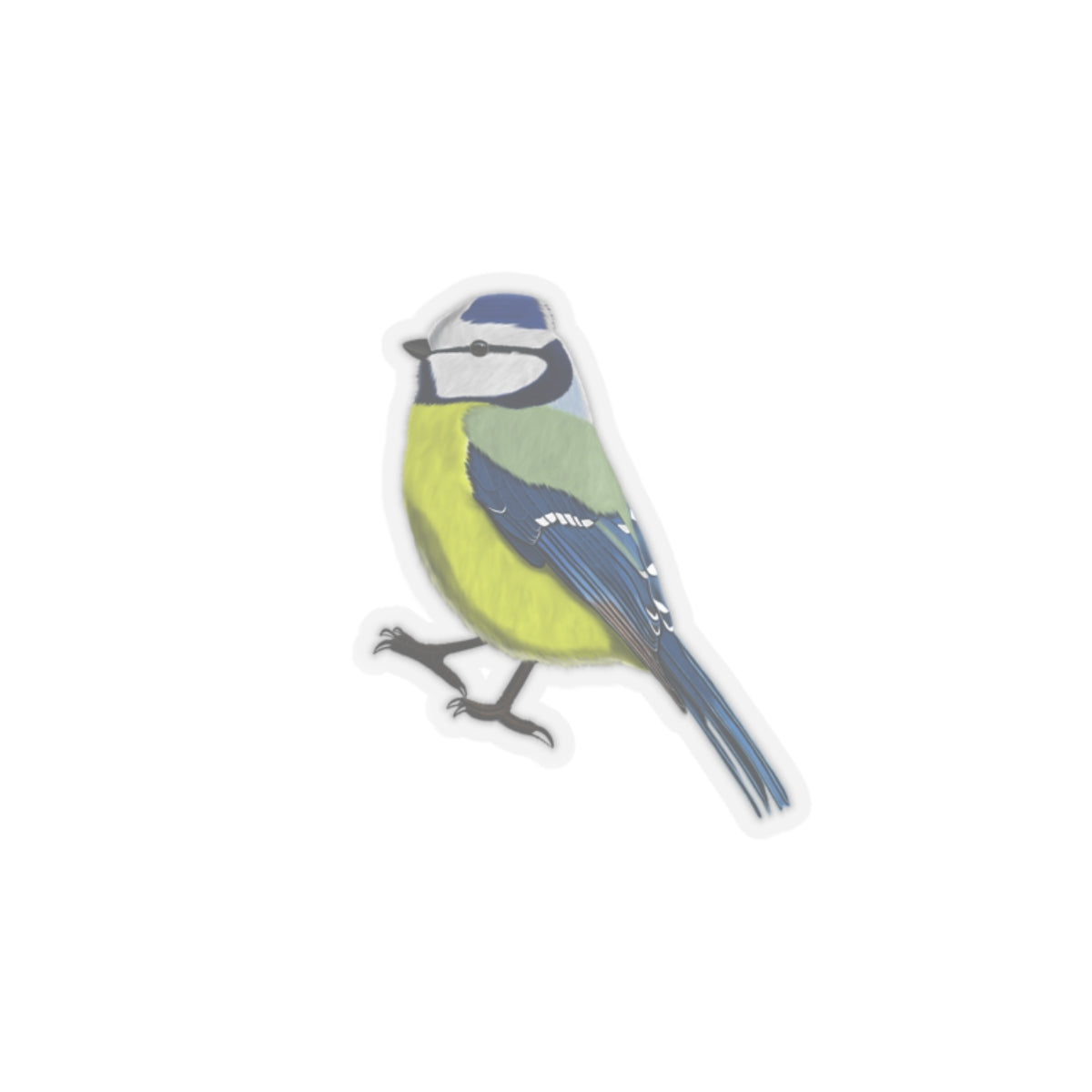 Blue Titmouse Bird Kiss-Cut Sticker - jz.birds