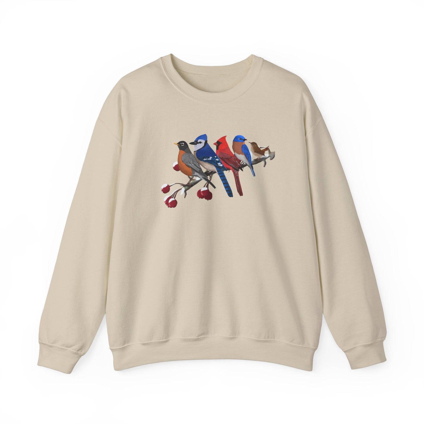Backyard Birds Robin Blue Jay Cardinal Bluebird Wren Birdwatcher Christmas Bird Sweatshirt