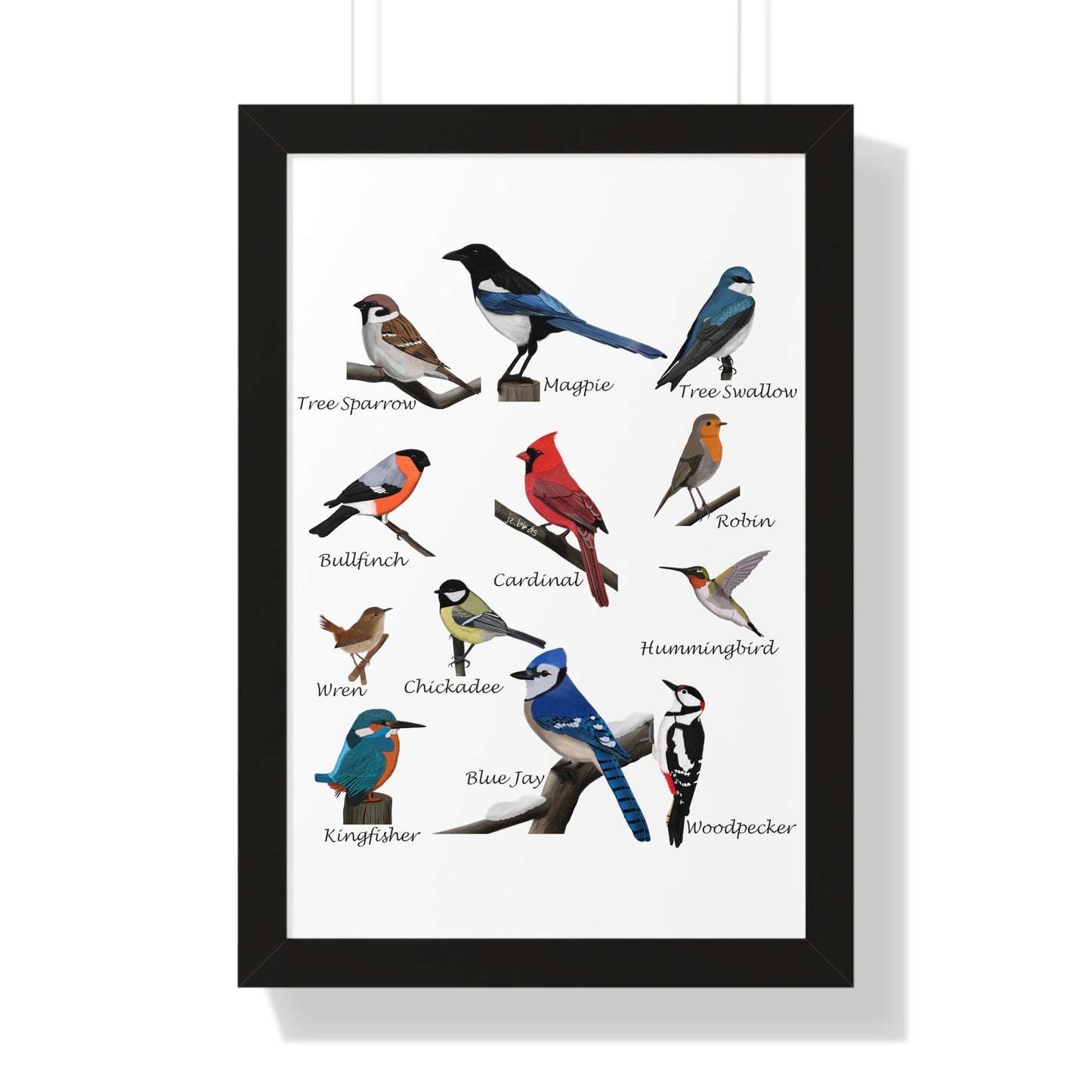 Garden Birds Blue Jay Cardinal Bullfinch Chickadee Framed Poster