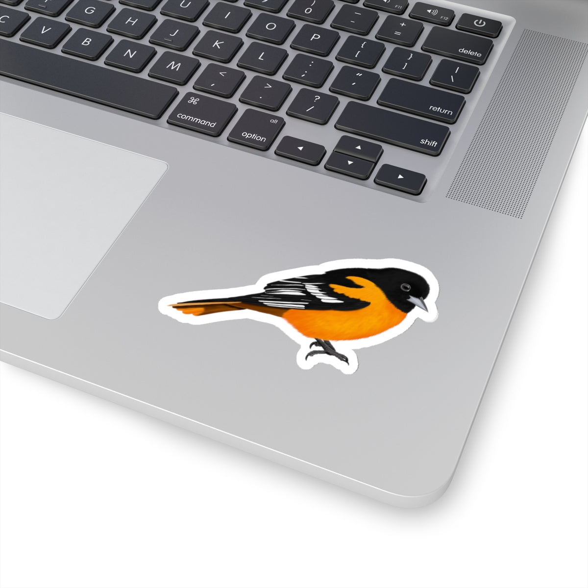 Baltimore Oriole Bird Kiss-Cut Sticker - jz.birds