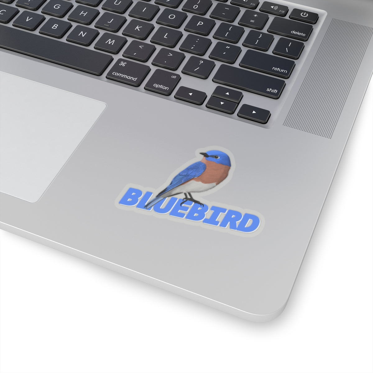 Bluebird Sticker Bird Lover & Bird Watcher