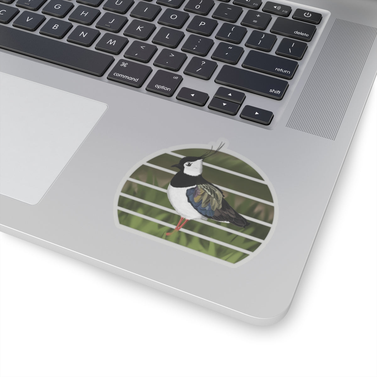 Lapwing Bird Sticker