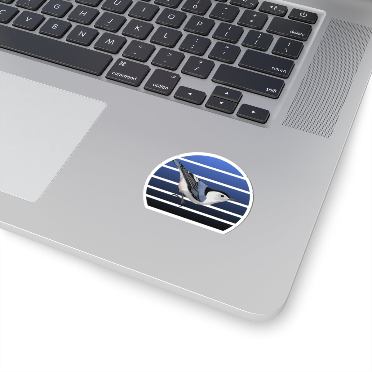 Nuthatch Bird Sticker