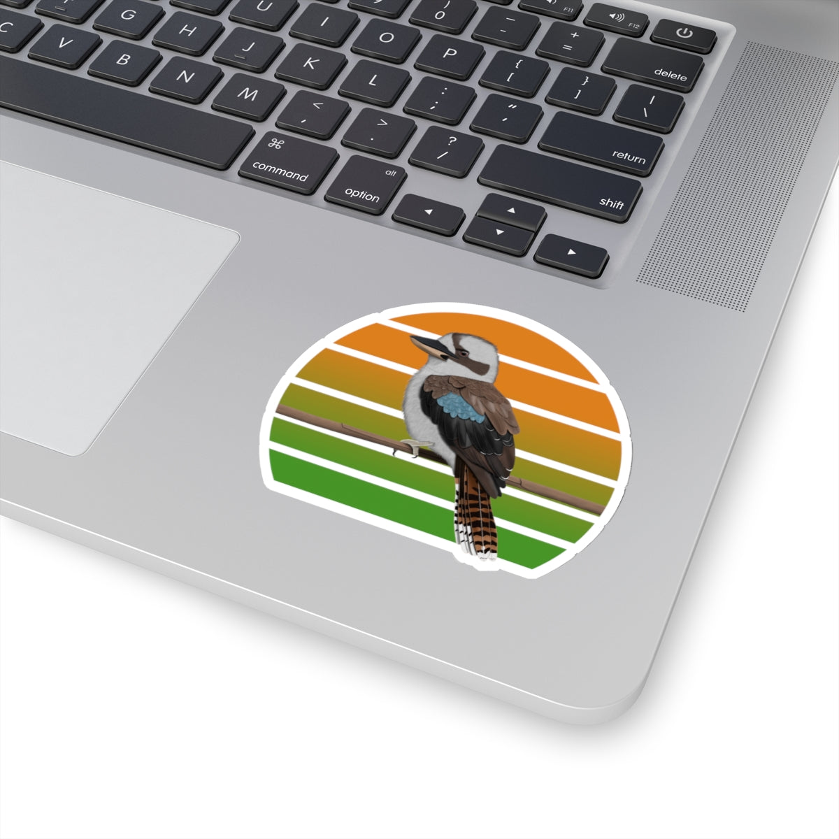 Kookaburra Bird Sticker