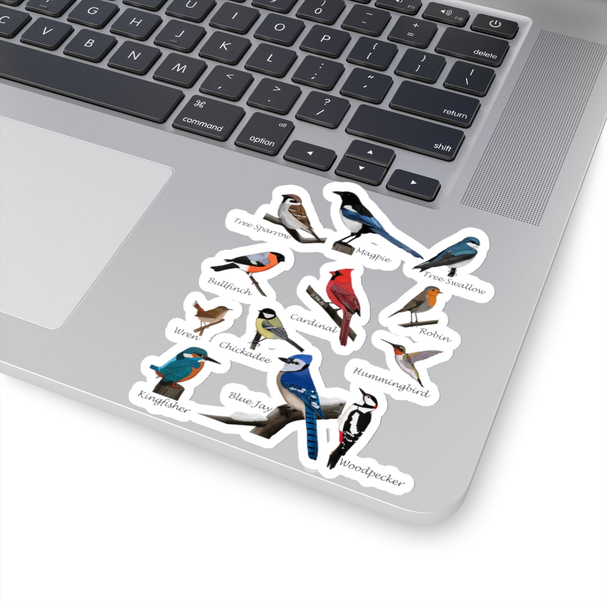 Garden Birds Blue Jay Cardinal Bullfinch Kiss-Cut Sticker - jz.birds