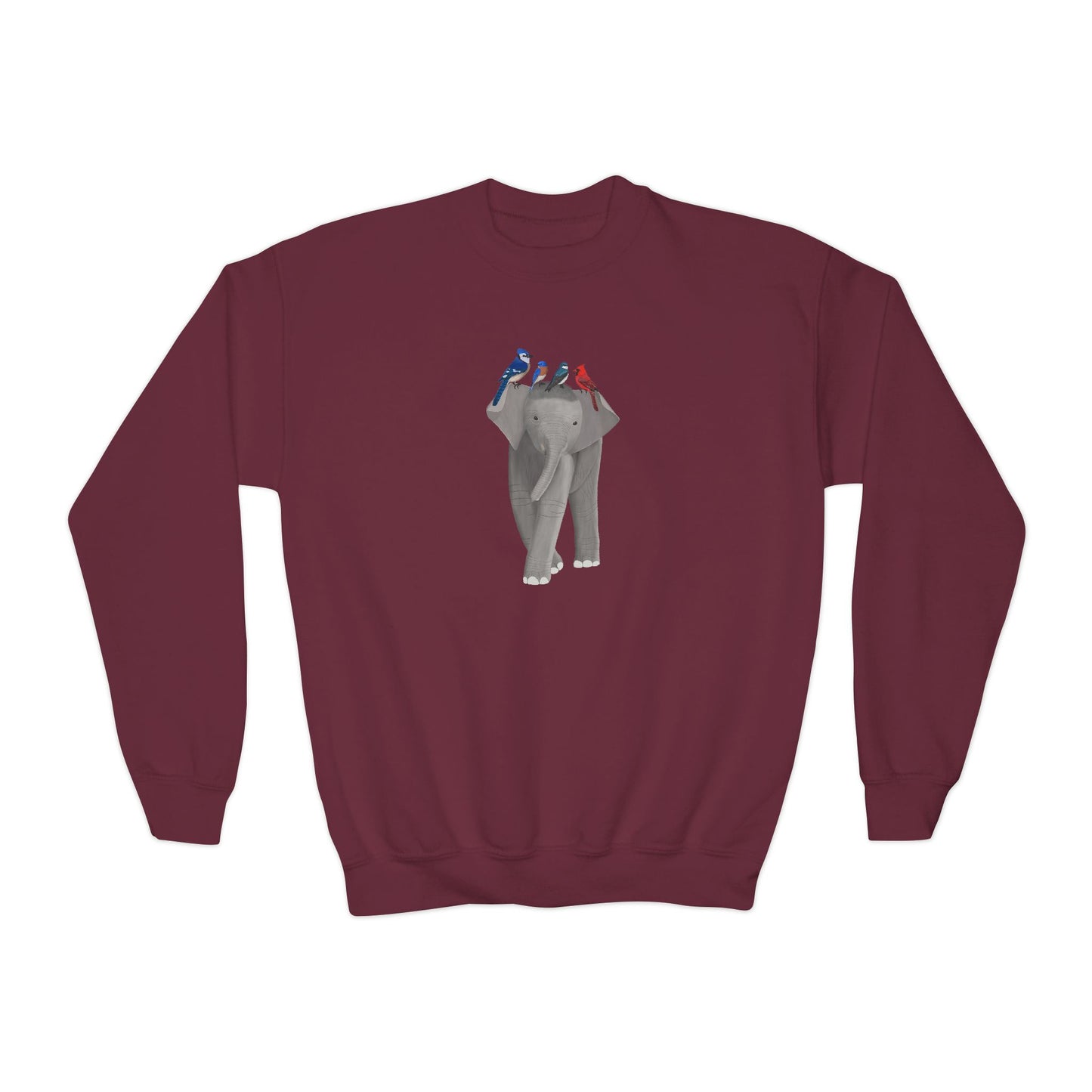 Tree Swallow, Bluebird, Blue Jay and Cardinal Youth Sweatshirts – Casual Kids Clothing Cool Weather Outfit style
