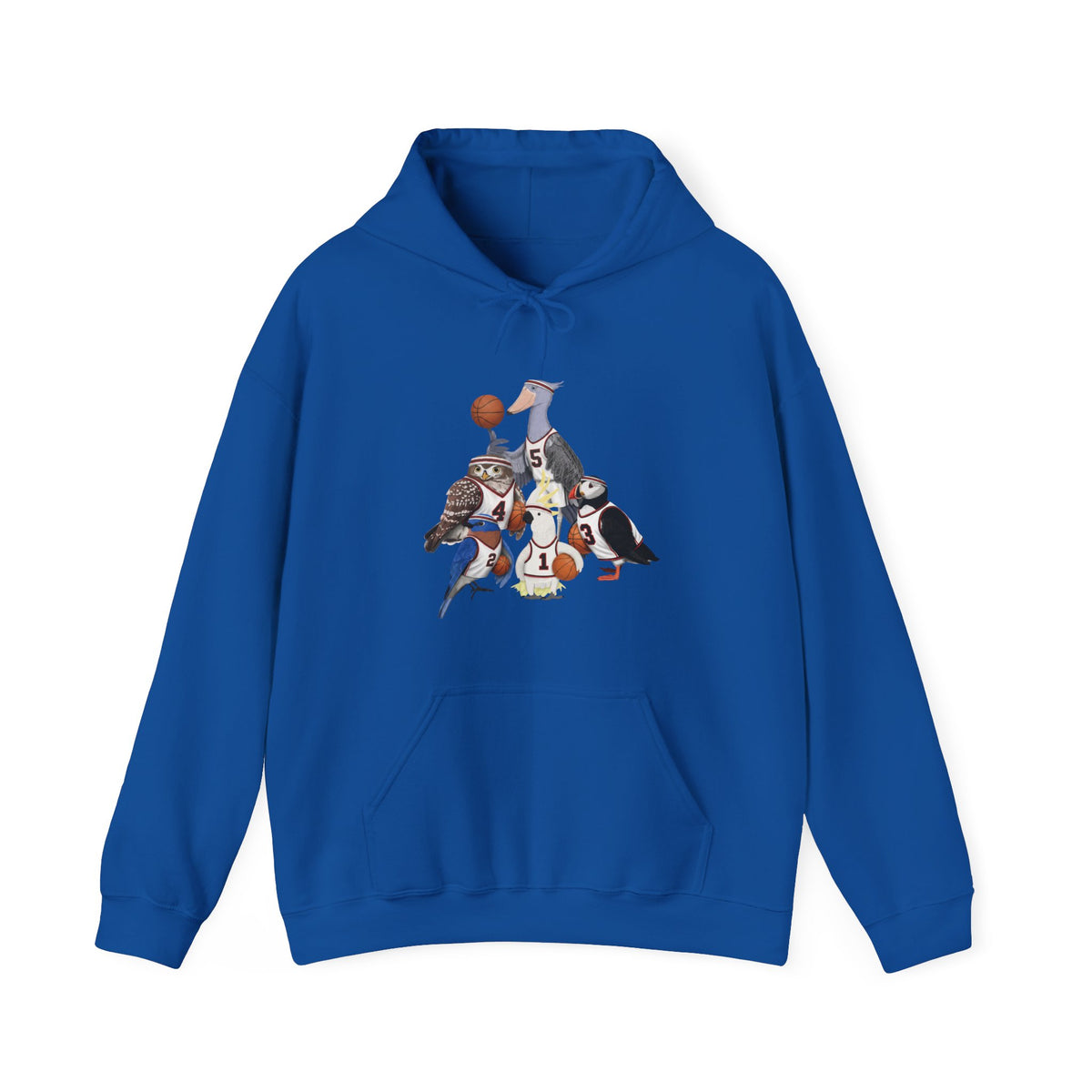 Funny Basketball Bird Hoodie – Unique Hoops Fan Gift – Soft, Unisex Jumper for Players –