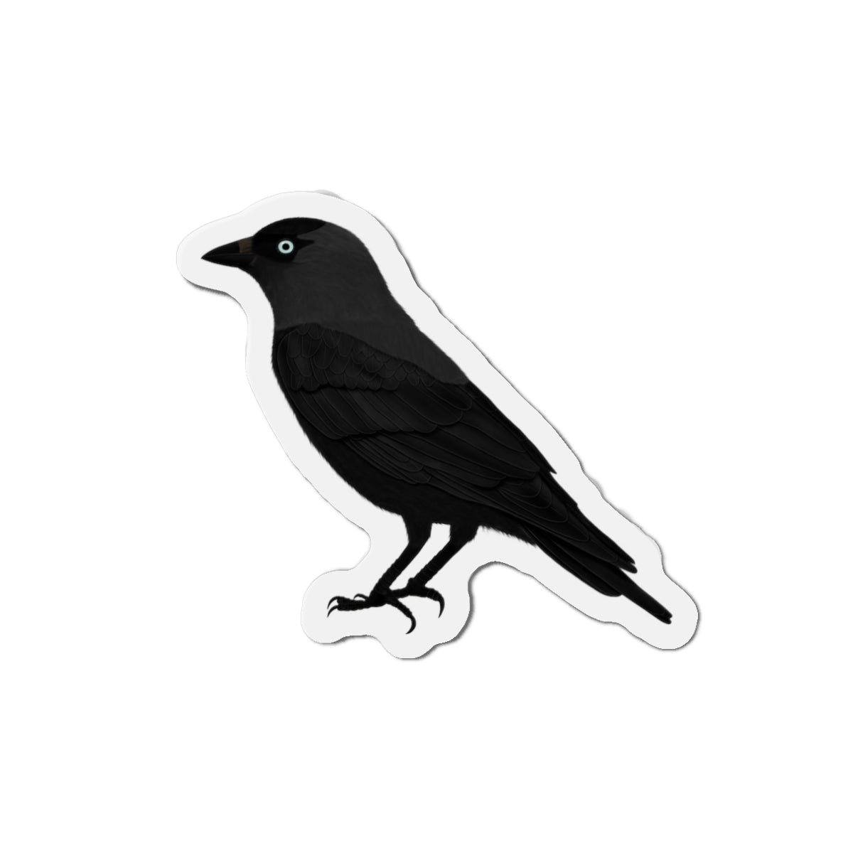 Tern Home Decor – Western Jackdaw Bird Magnet