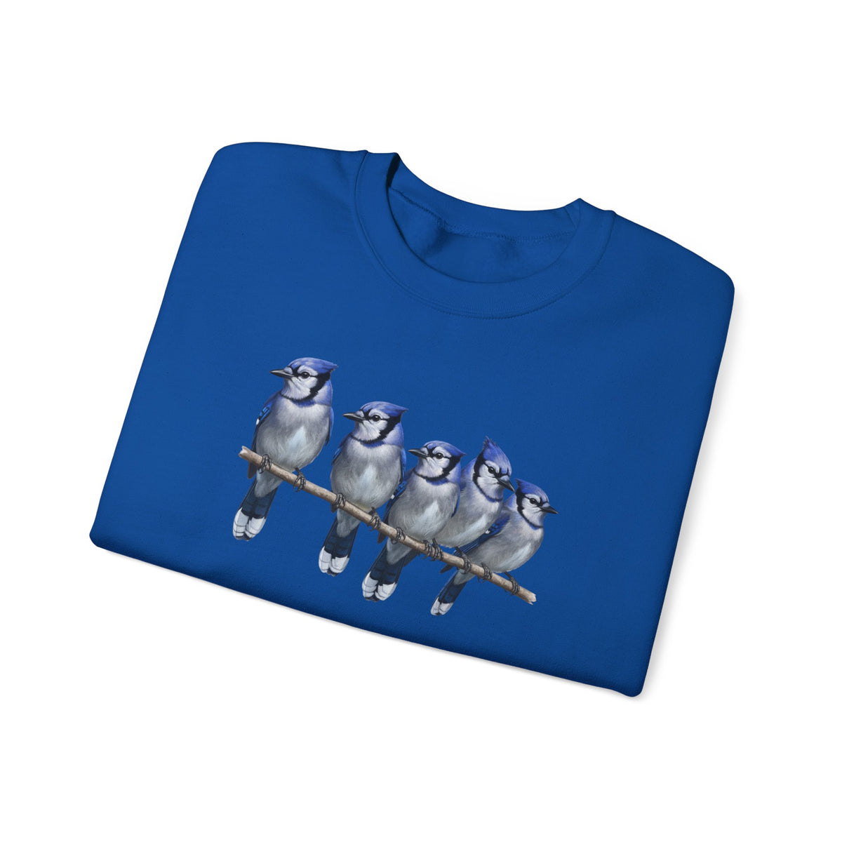 Blue Jays Sweatshirt | Bird Watcher Crewneck | Unisex Songbird Gift for Bird Lovers