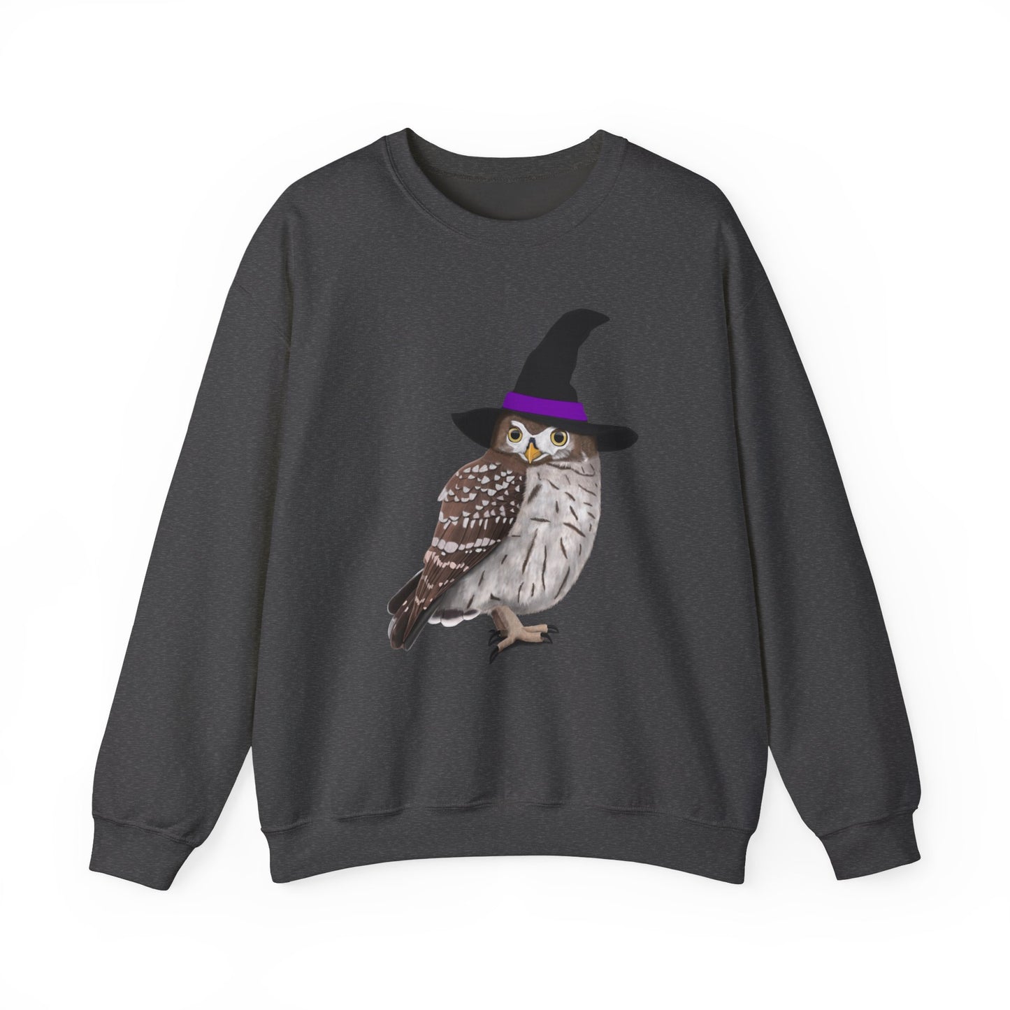 Owl Sweatshirt in Ash