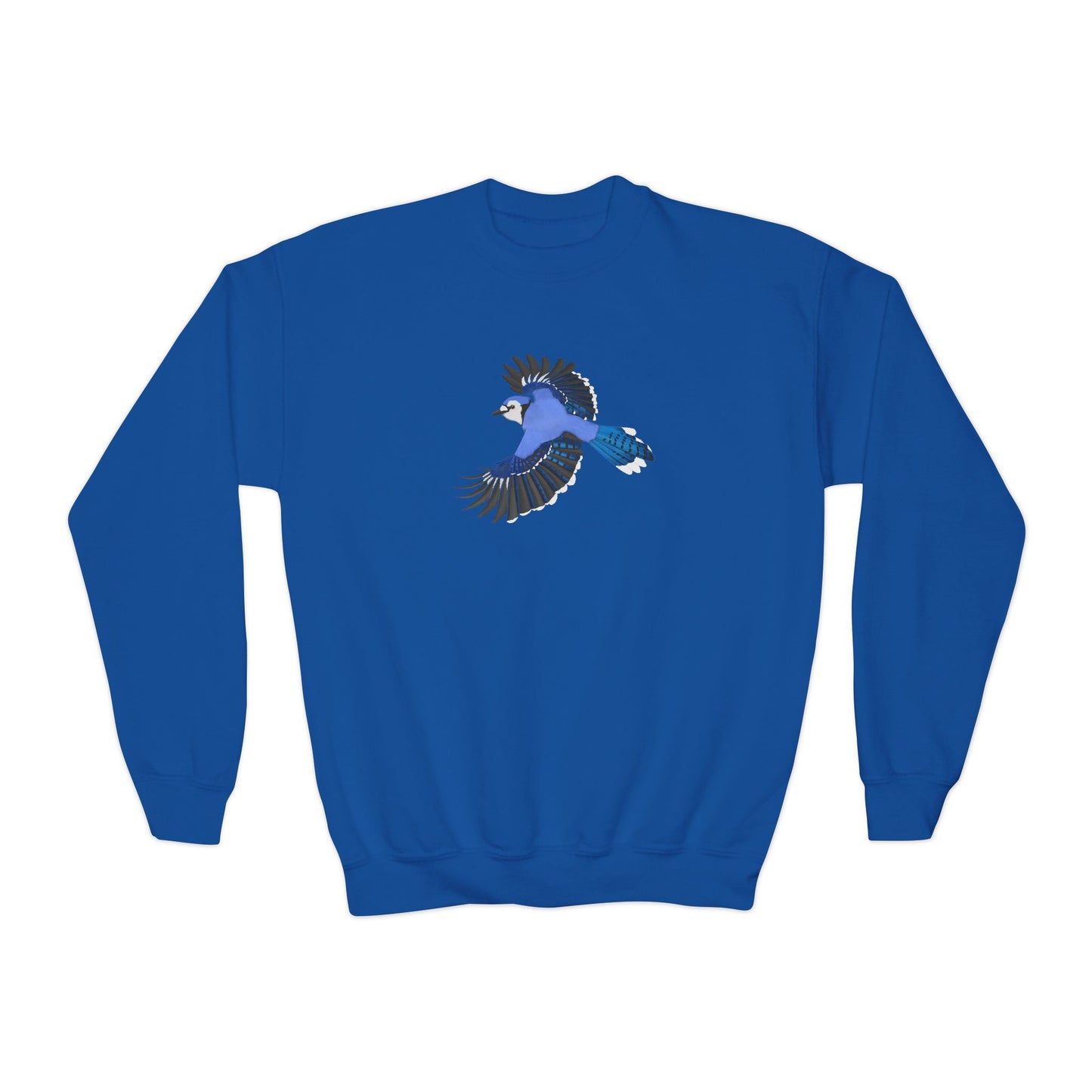 Blue Jay Youth Sweatshirts – Casual Kids Clothing, Cool Weather Outfit