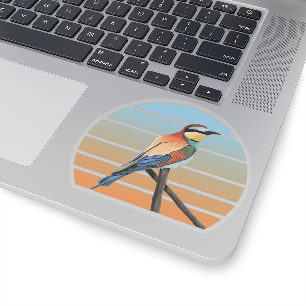 Bee-Eater Bird Sticker