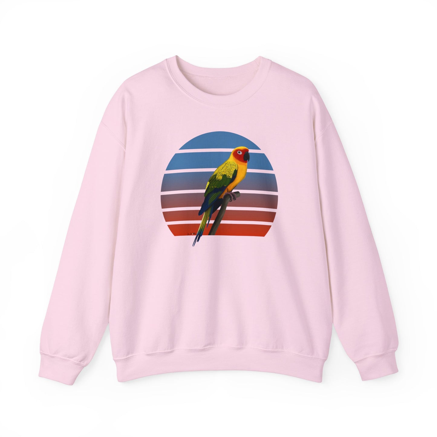Conure Sweatshirt in Dark Heather