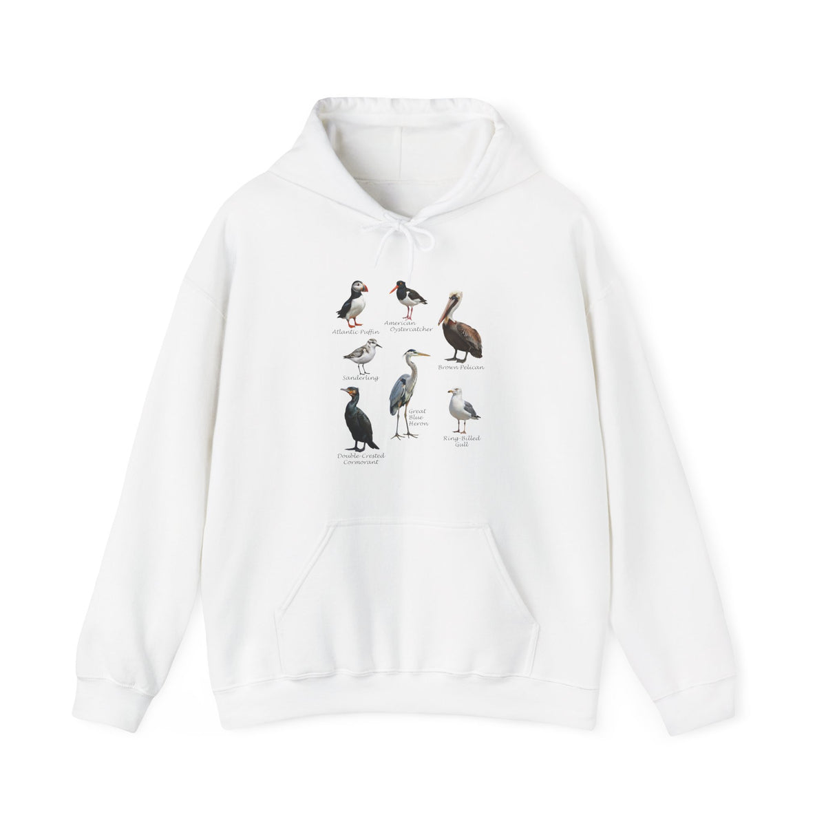 Pelican, Heron and Gull Hoodie on bird background