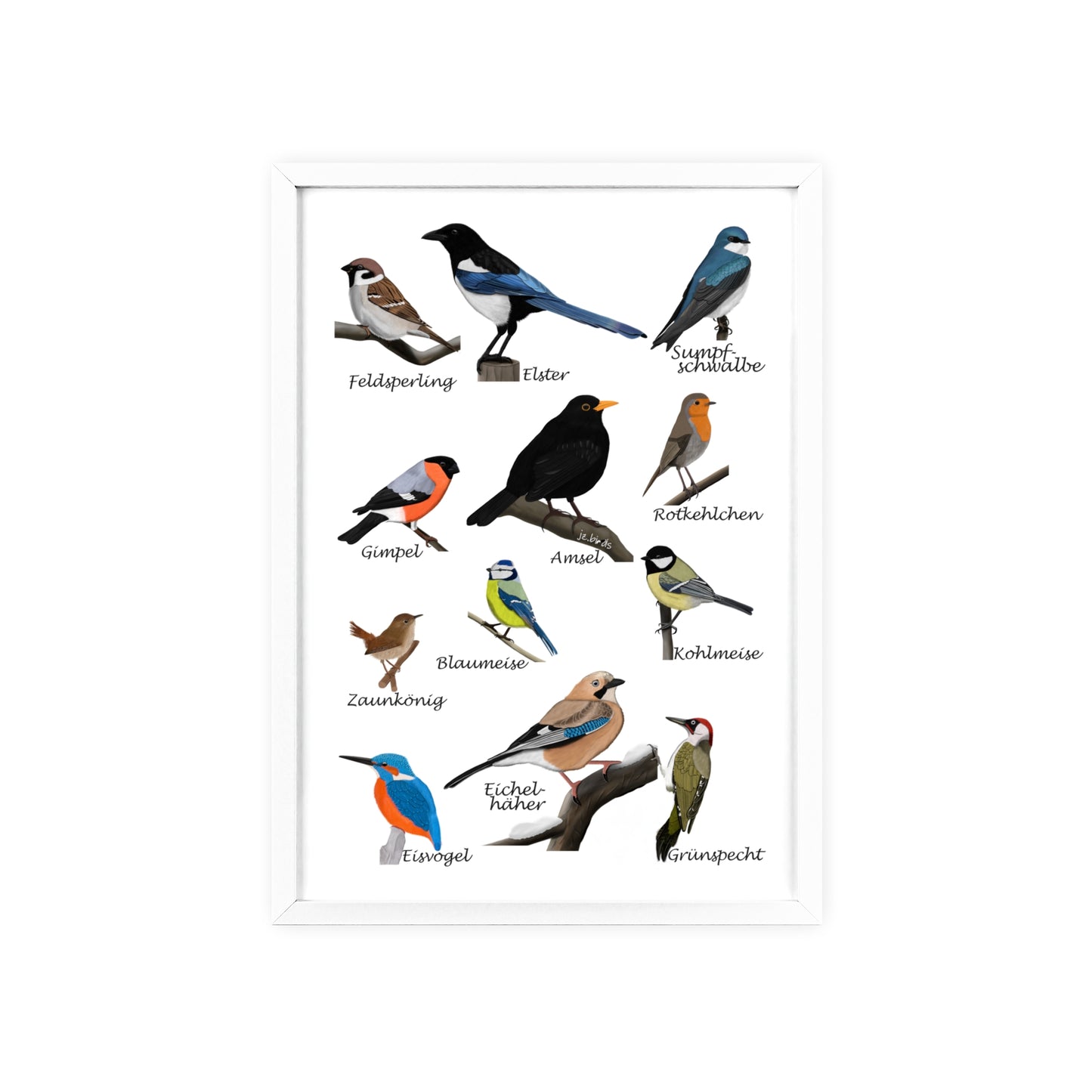 Vogel Poster im Holzrahmen - Gartenvögel Amsel Rotkehlchen Blaumeise
