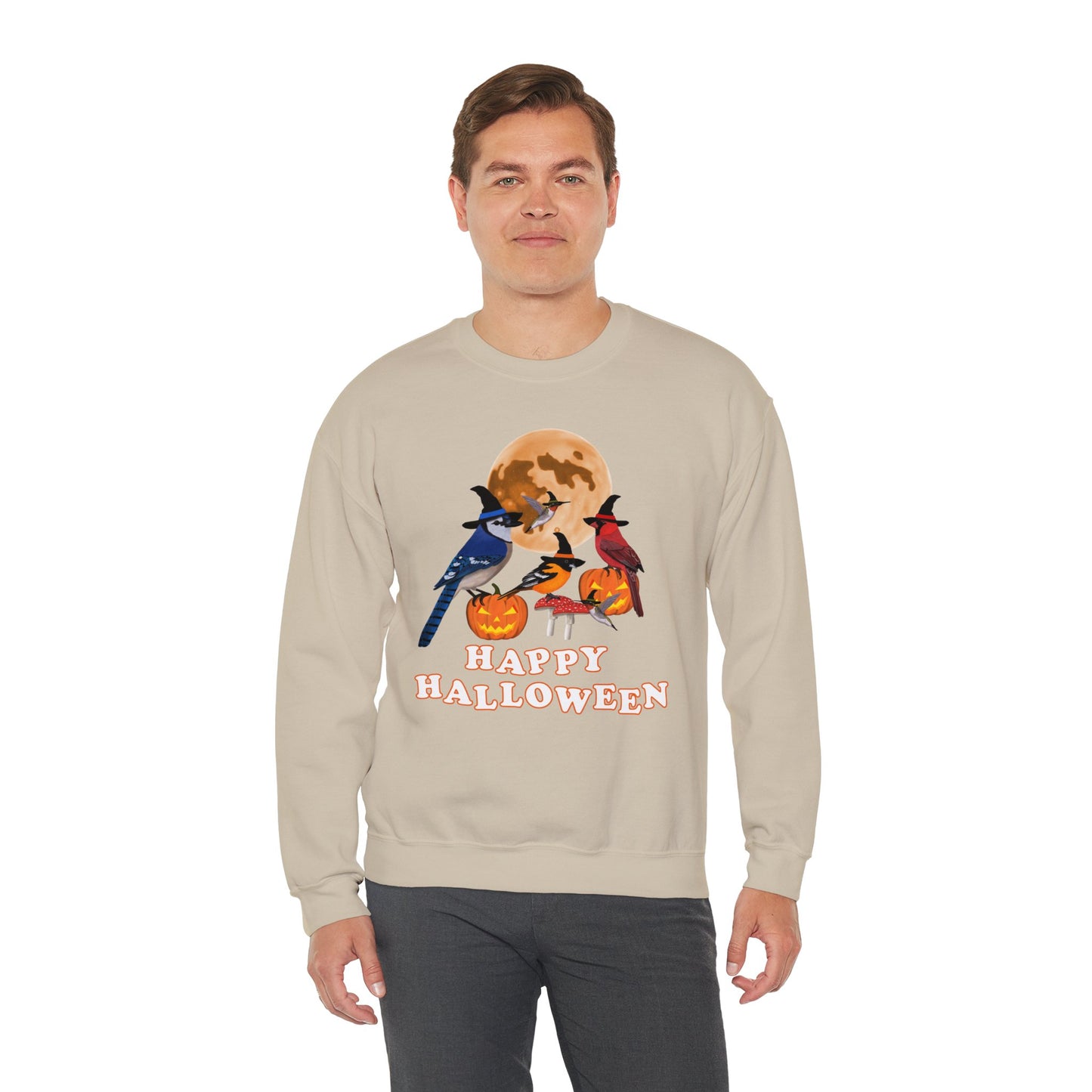 Blue Jay Cardinal Oriole Hummingbird Halloween Birds Witch Birdwatcher Sweatshirt
